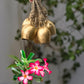 Mini Wall hanging Bells - Set Of 5- Golden Color